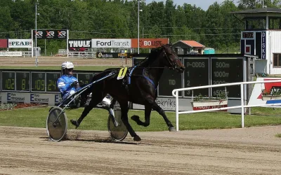 Axevalla Rennbahn und das StoChampionat