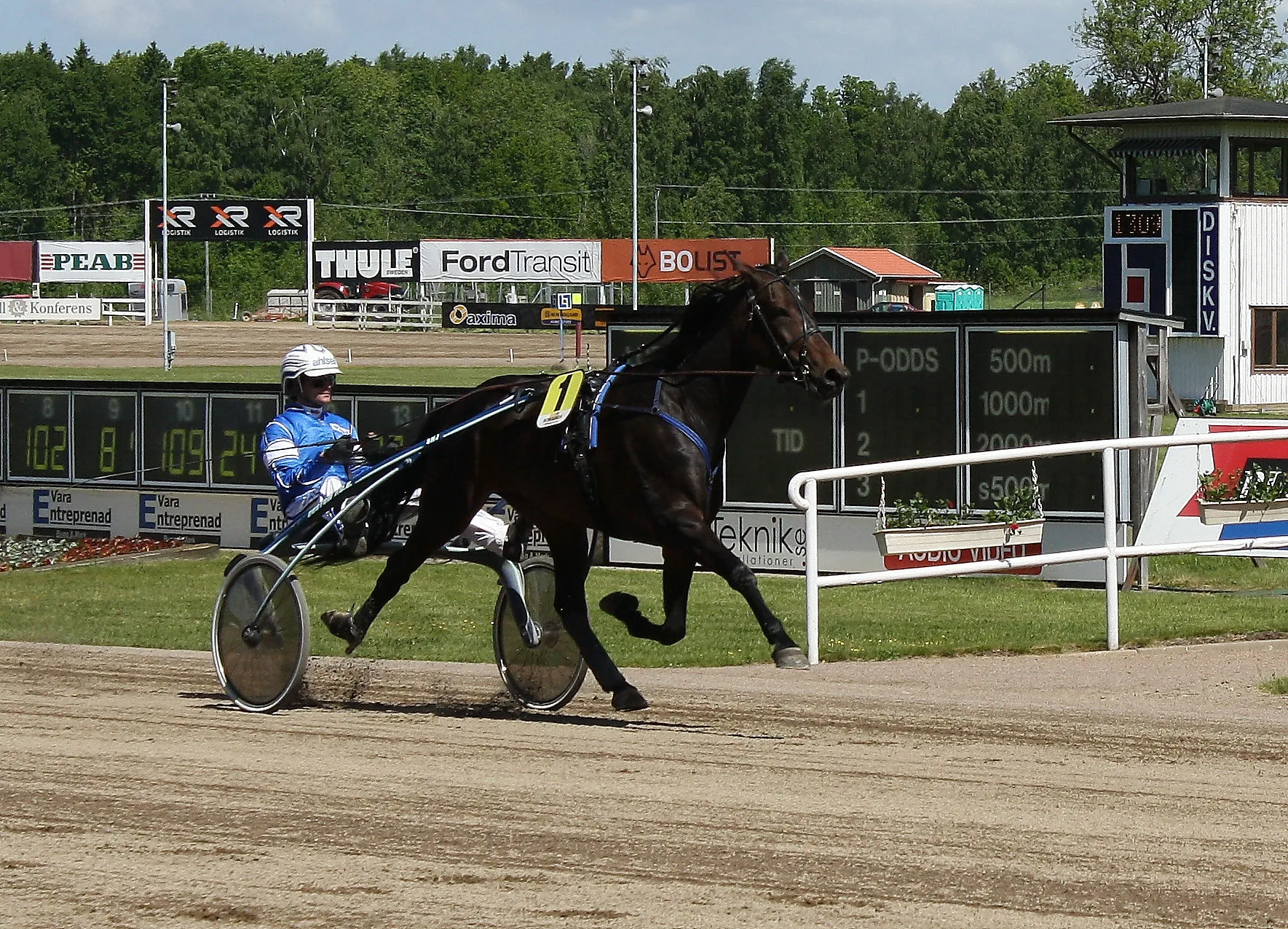 Pferderennbahn Axevalla - Stochampionatet